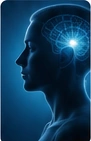 Medical illustration of brain and neurological health